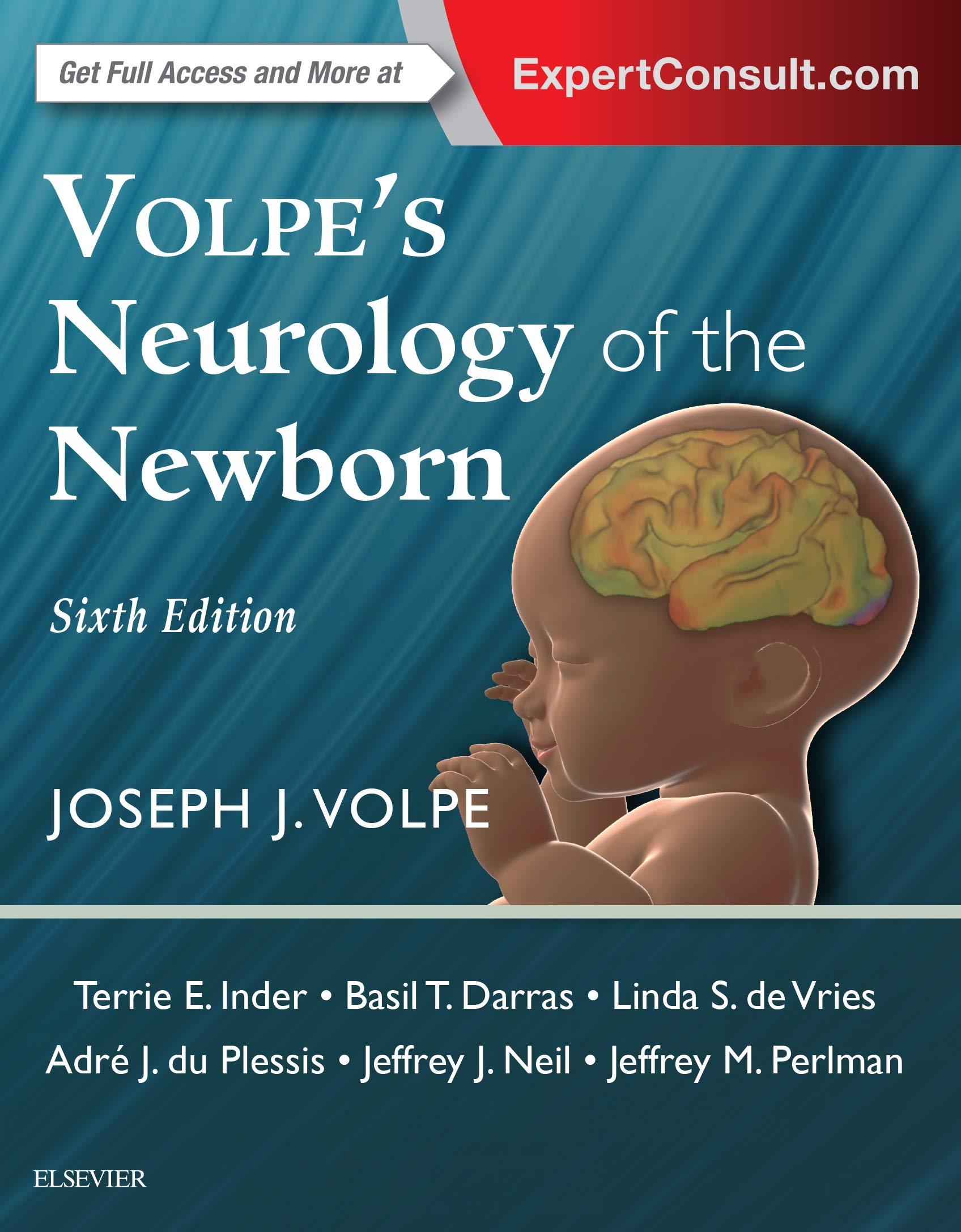 volpes-neurology-of-the-newborn-6e