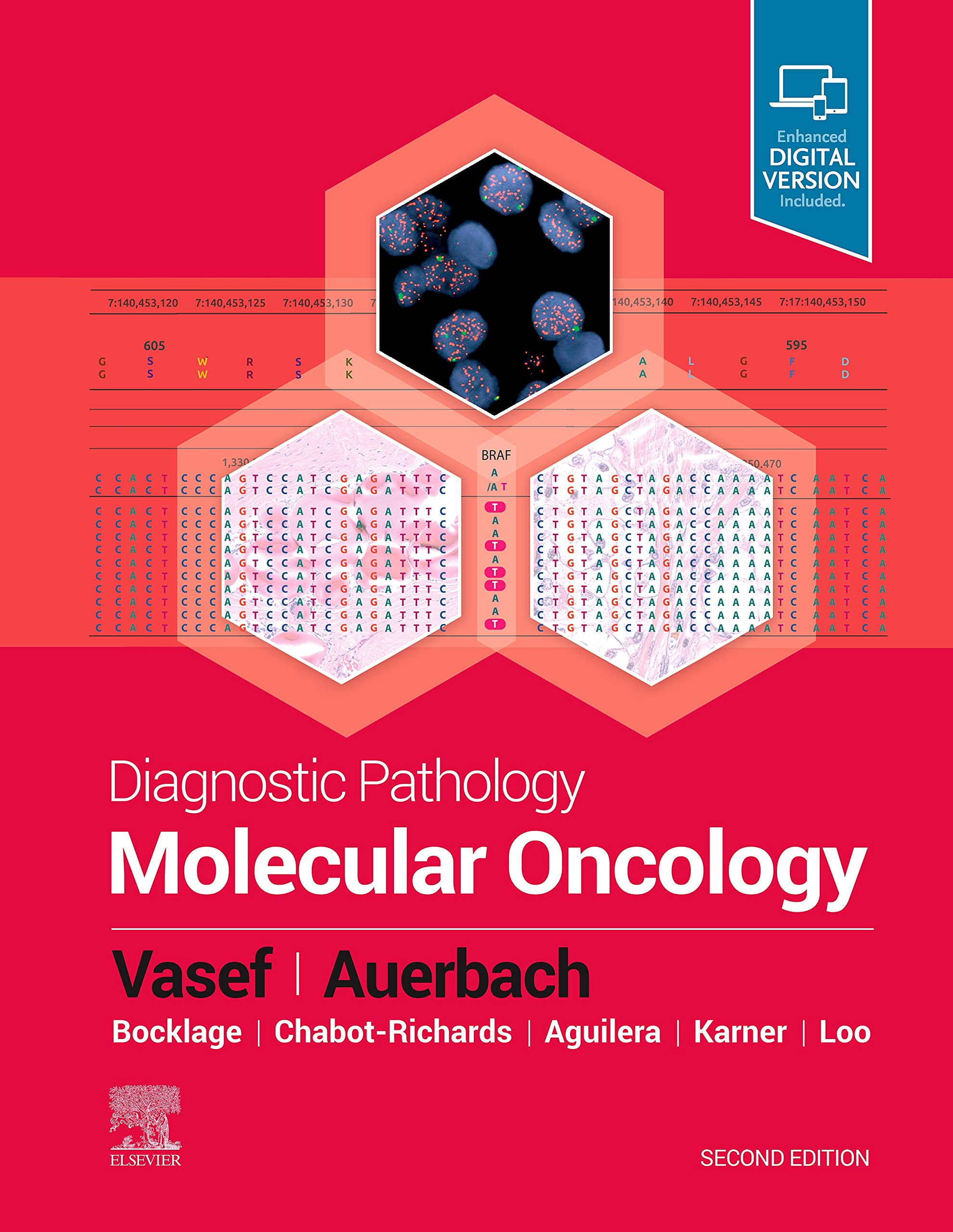 diagnostic-pathology-molecular-oncology-2e