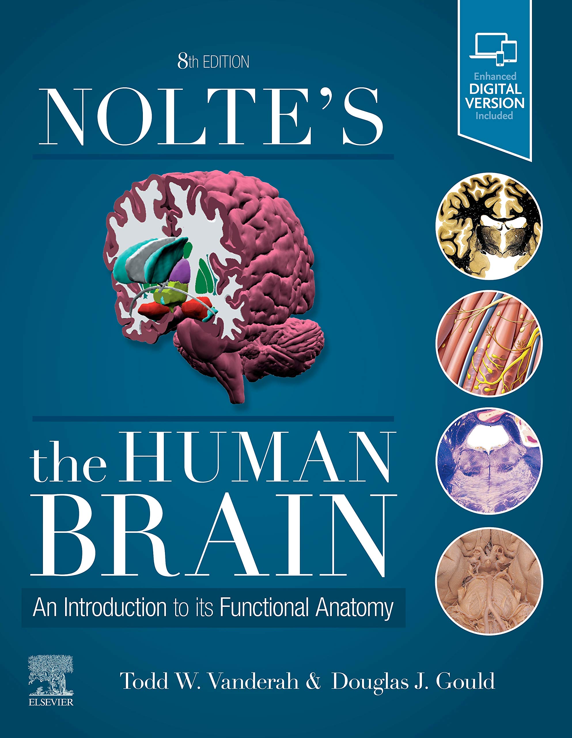 noltes-the-human-brain-an-introduction-to-its-functional-anatomy-8e