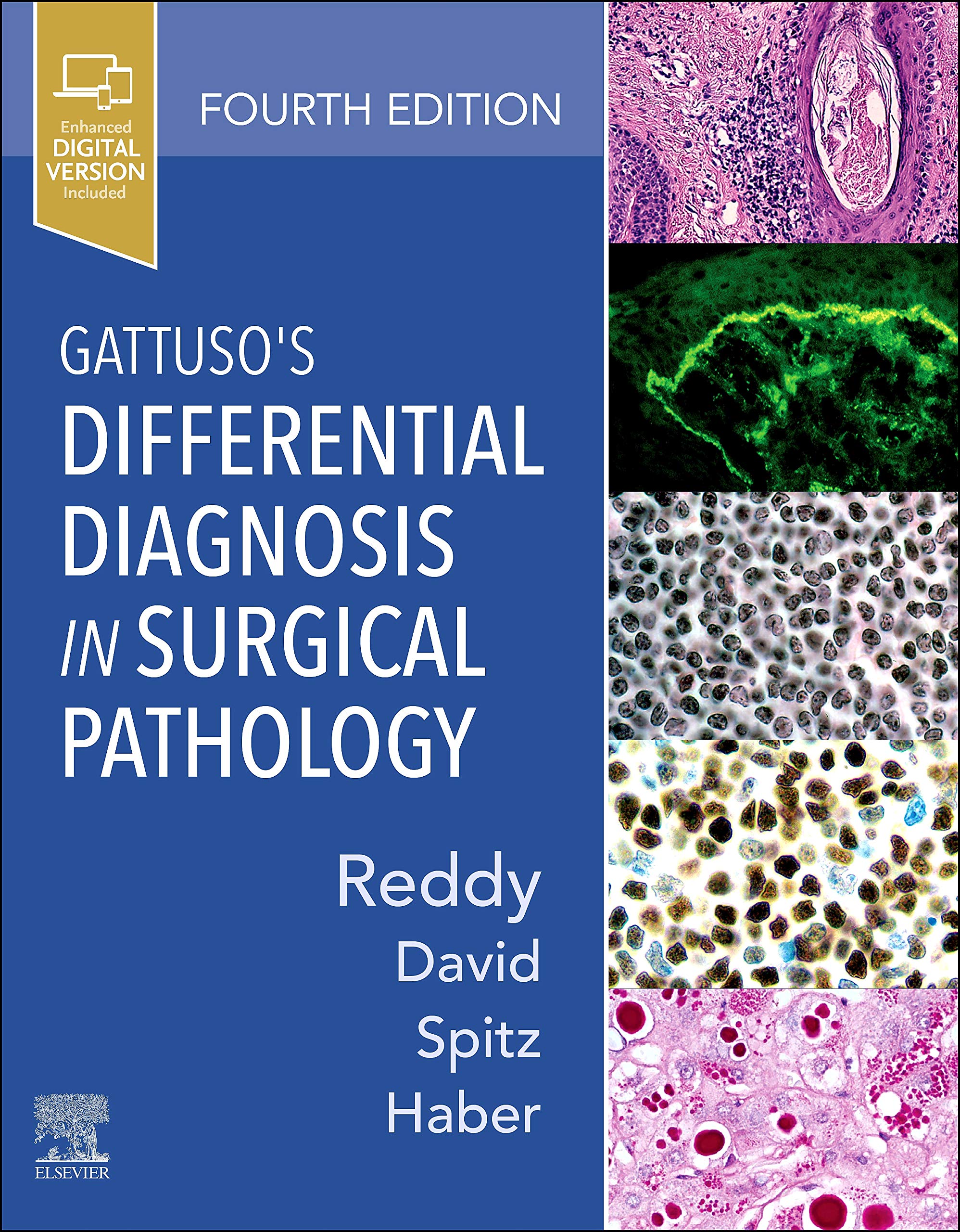 gattusos-differential-diagnosis-in-surgical-pathology