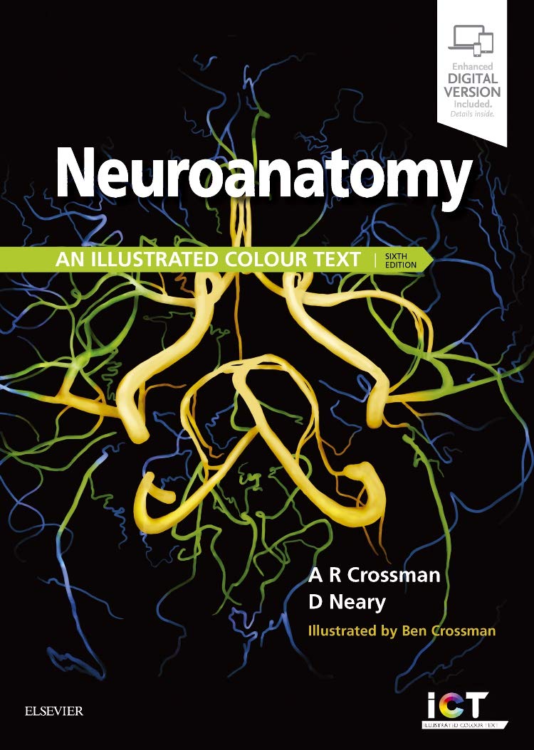 neuroanatomy-an-illustrated-colour-text-6e
