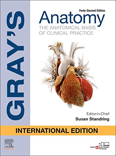 grays-anatomy-international-edition