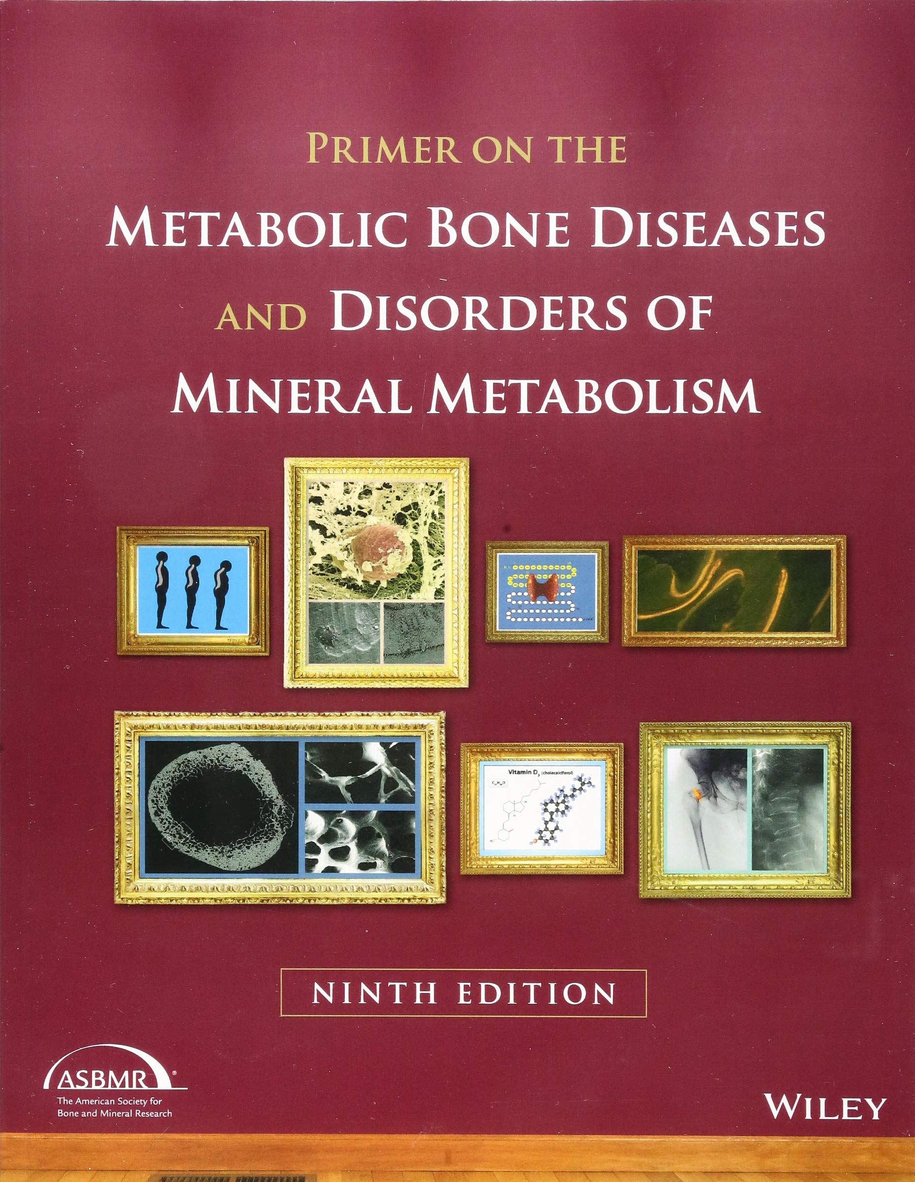 primer-on-the-metabolic-bone-diseases-and-disorders-of-mineral-metabolism