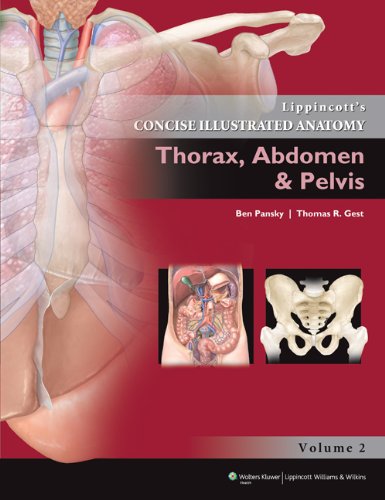 lippincott-concise-illustrated-anatomy-thorax-abdomen-and-pelvis-vol-2-pb-2013-old-edition