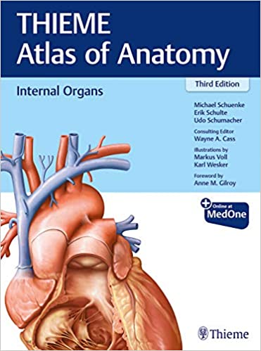 internal-organs-thieme-atlas-of-anatomy