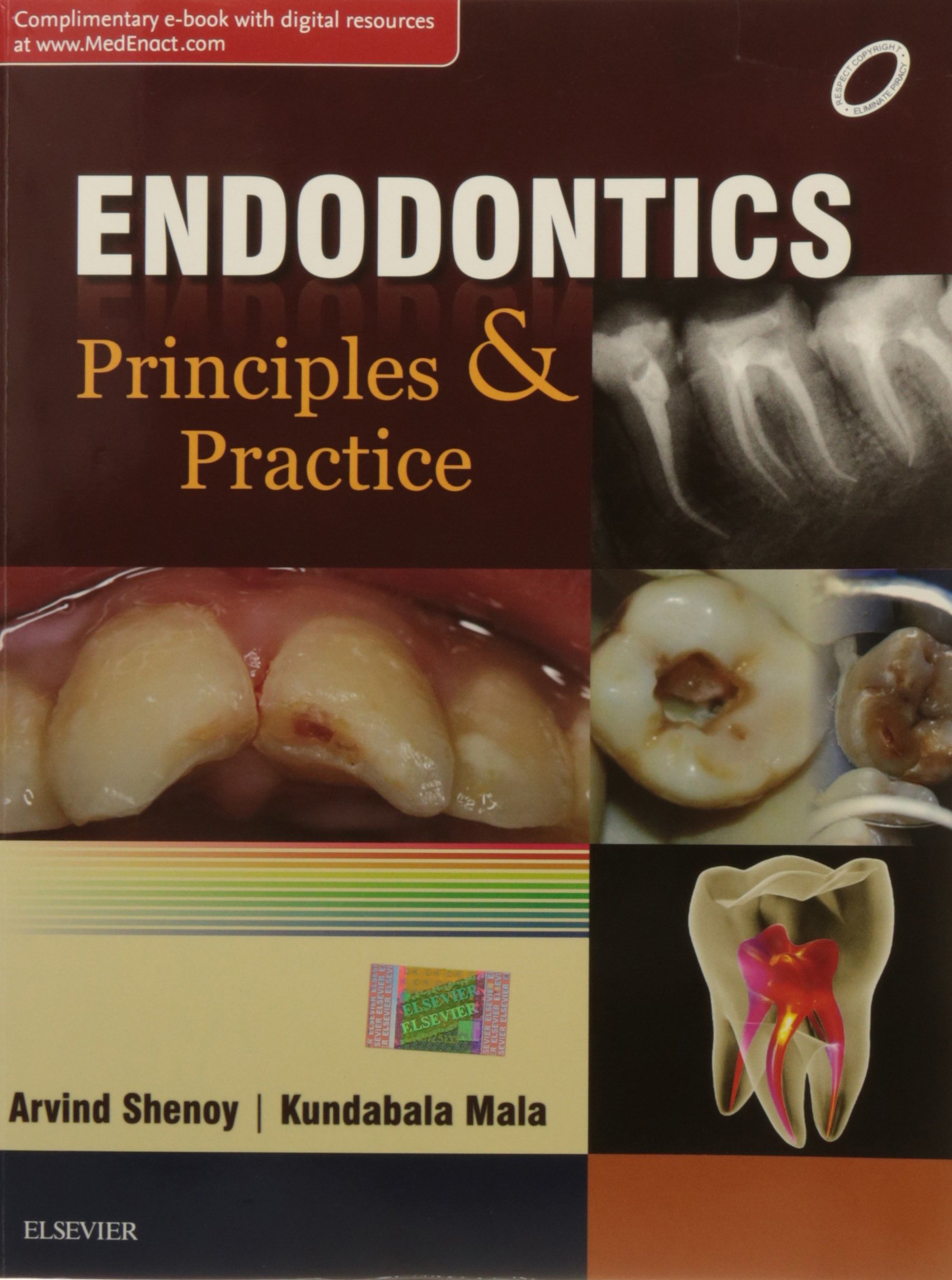 endodontics-principles-and-practice-complimentary-e-book-with-digital-resources