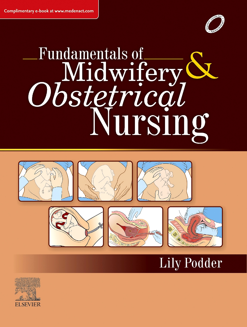 dissertation ideas midwifery