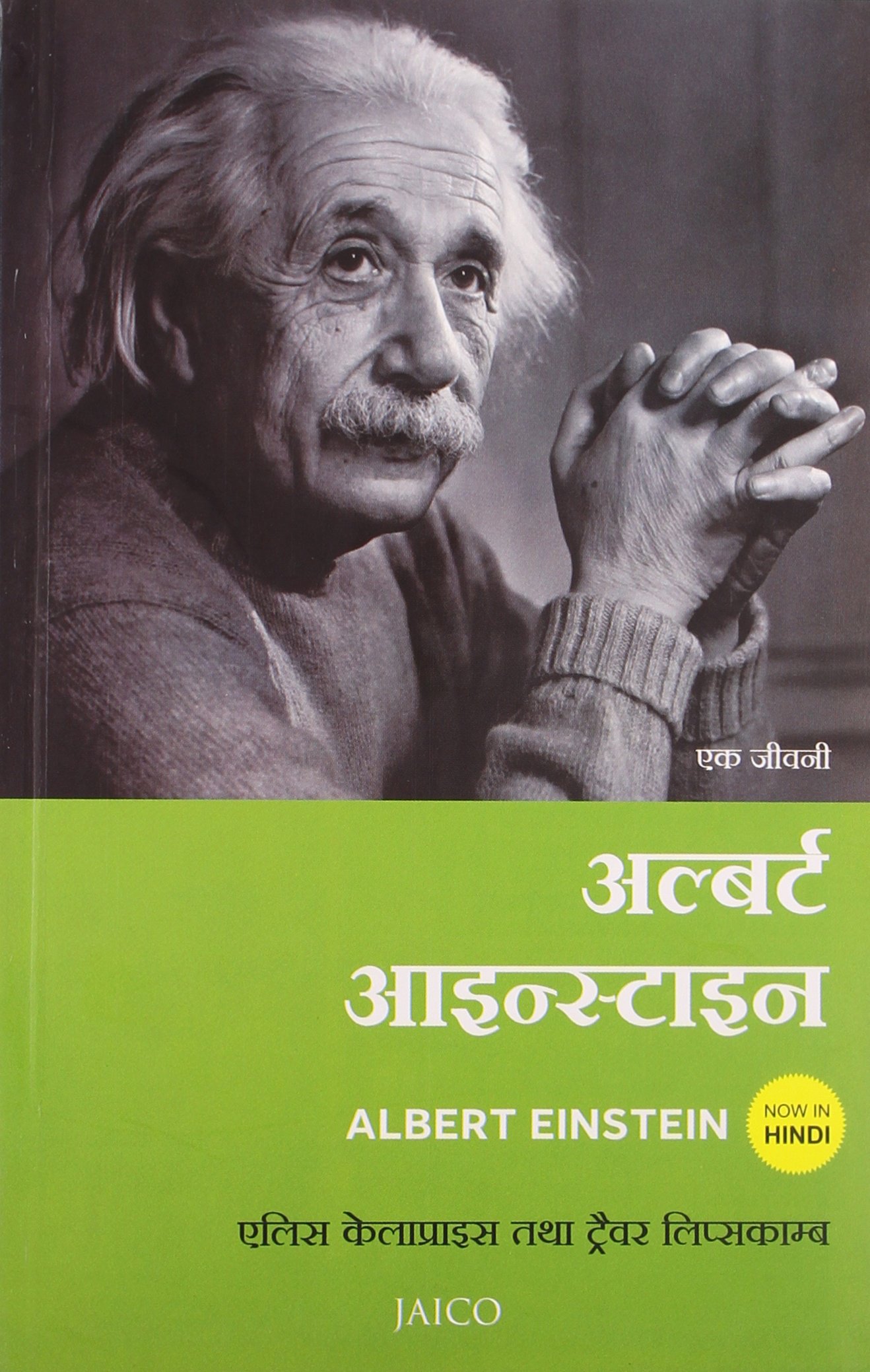 albert-einstein-hindi