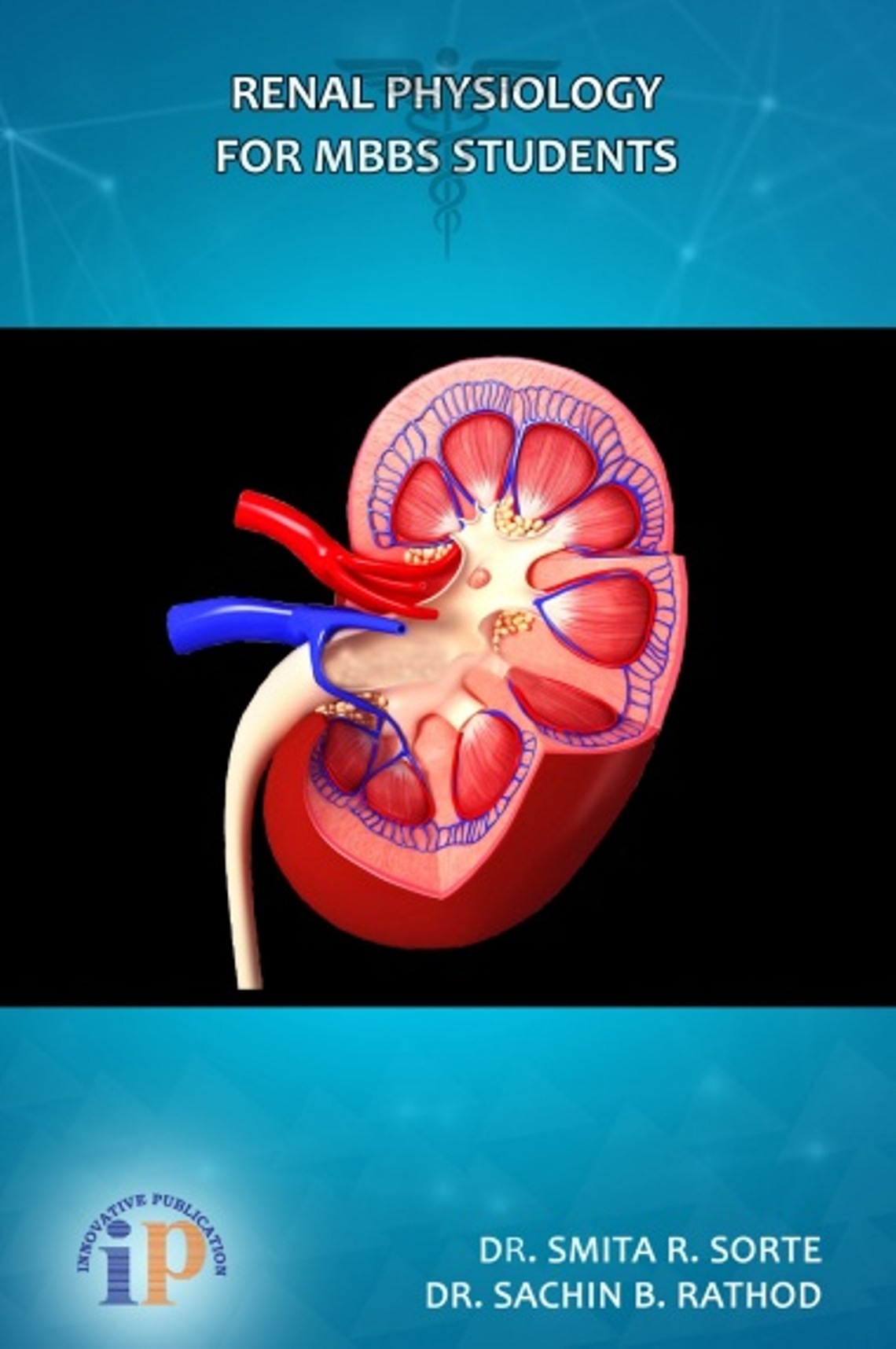 renal-physiology-for-mbbs-students