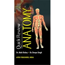 quick-review-anatomy