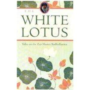 the-white-lotus