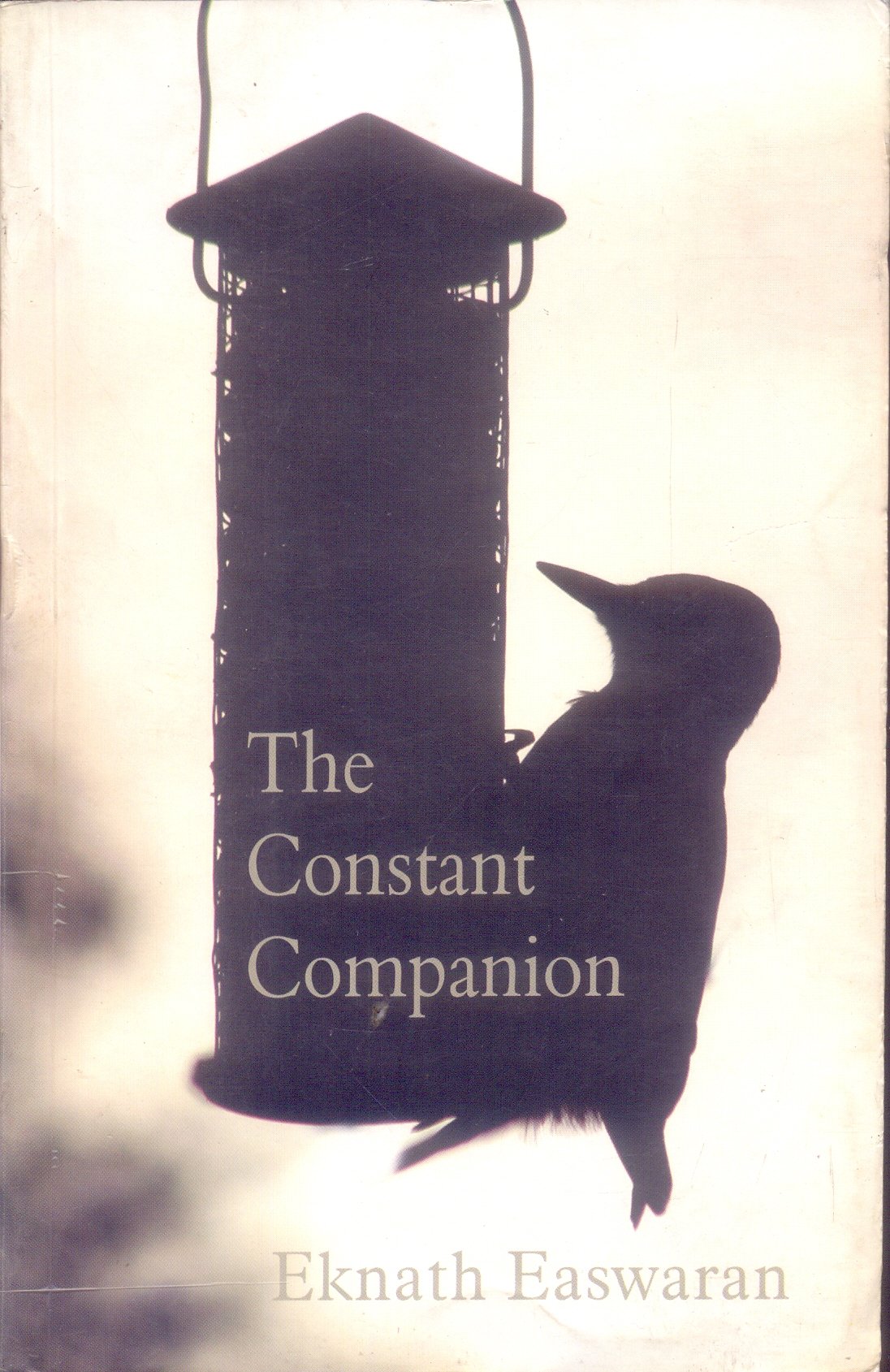 the-constant-companion