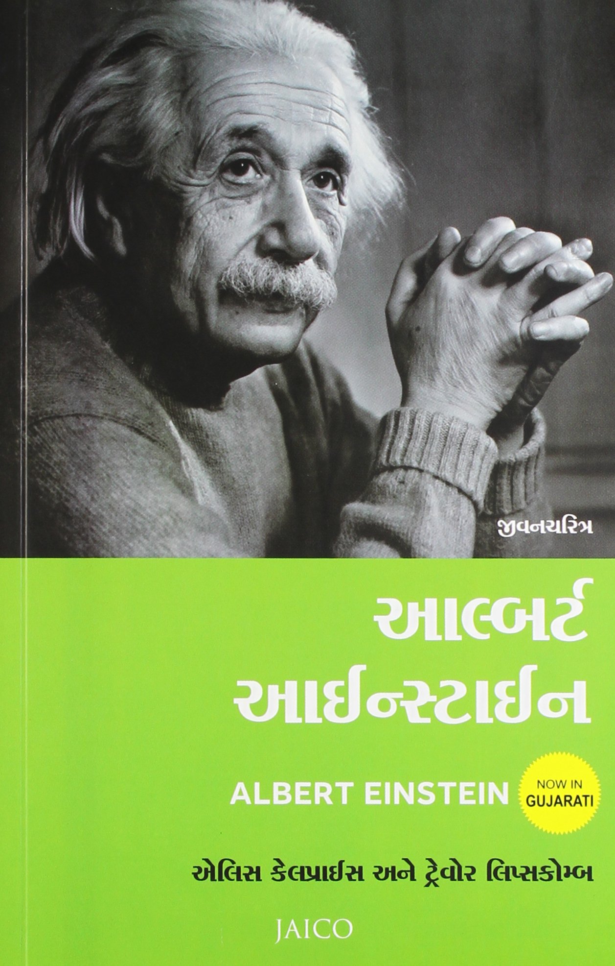 albert-einstein-gujarati