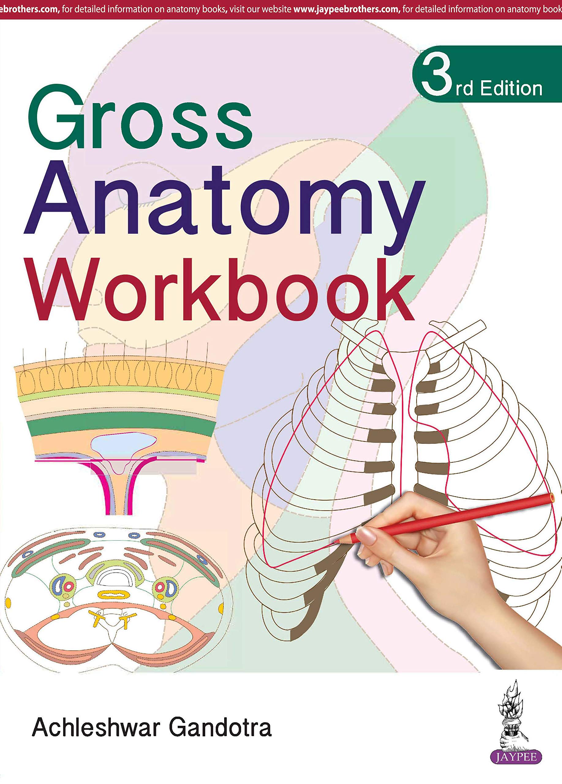 gross-anatomy-workbook