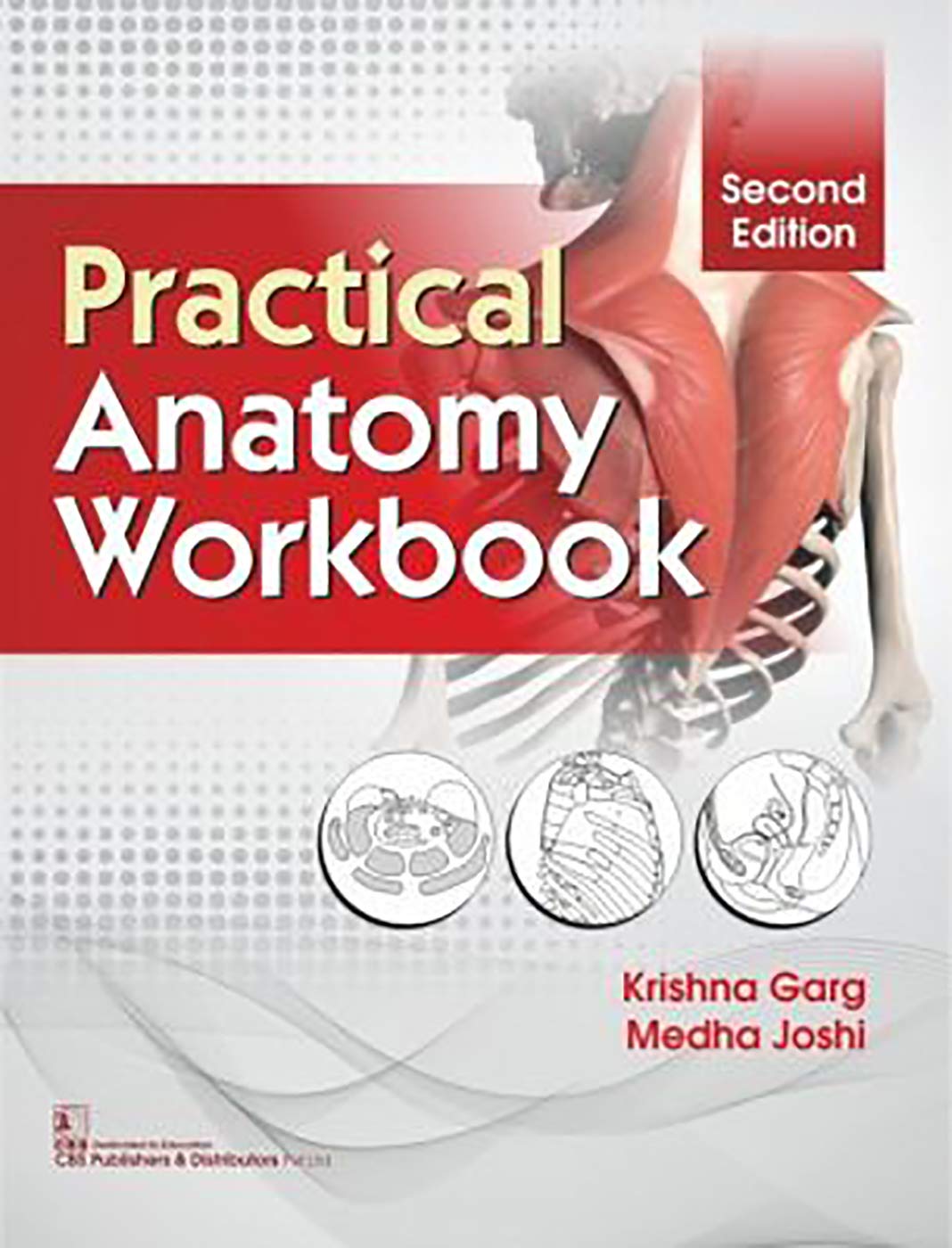 practical-anatomy-workbook-2e-pb